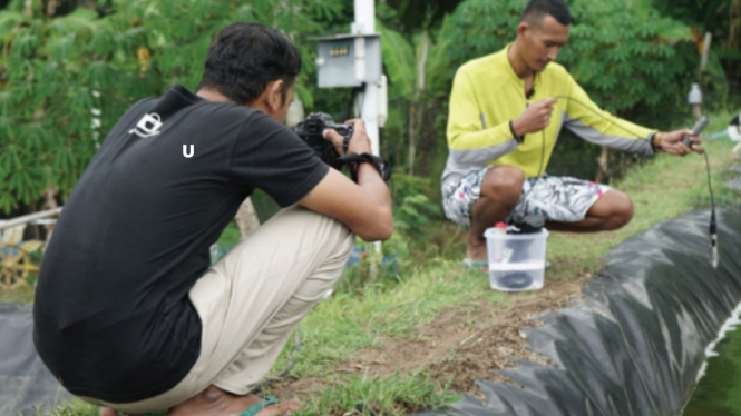 Cegah Petani Udang Gagal Panen, Paundra Noorbaskoro Buat Sensor Kualitas Air Laut